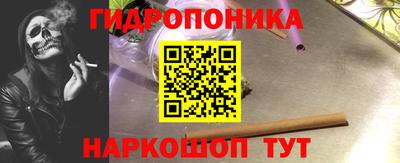стафф Бийск