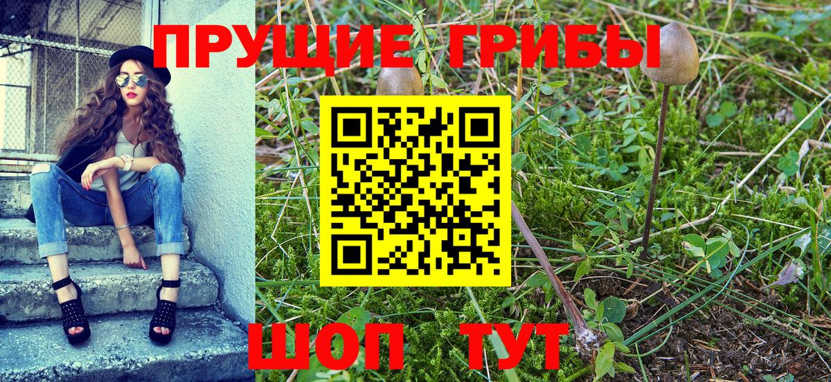 Калининград  Псилоцибиновые грибы Magic Shrooms  Вход с VPN 