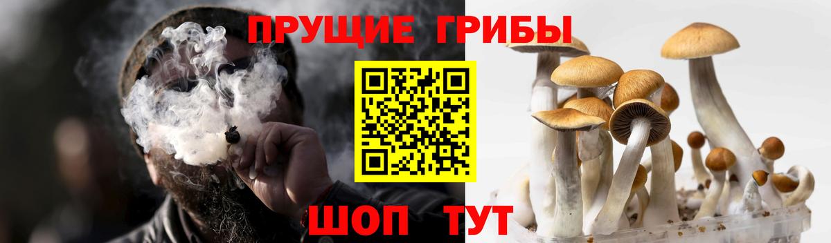Псилоцибиновые грибы ЛСД Калининград